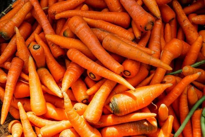 Carrot