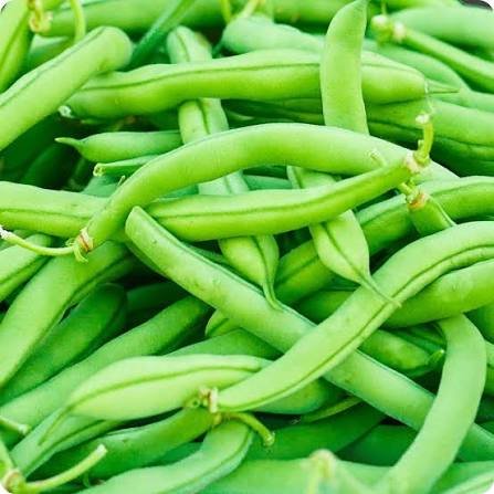 Bean